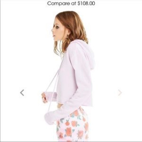 WildFox Pasé the Rosé Ivy Hoodie - Picture 3 of 8